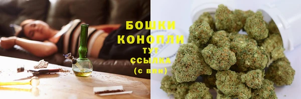 индика Карталы