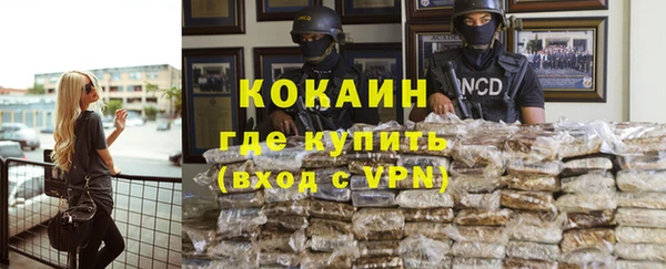 индика Карталы