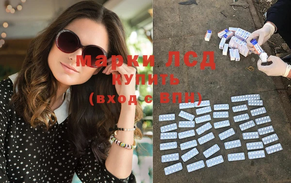 индика Карталы