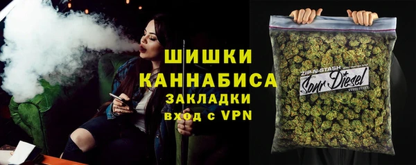 индика Карталы